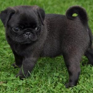 Meet your Posher, Kathryn